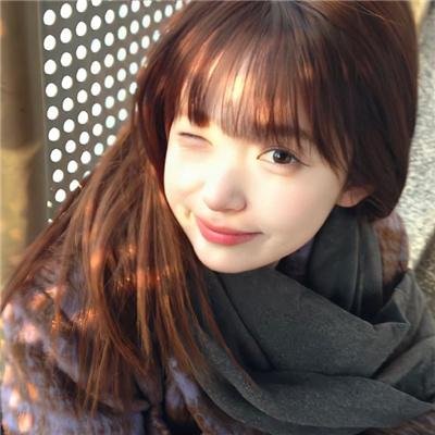 米德威奇布谷鸟